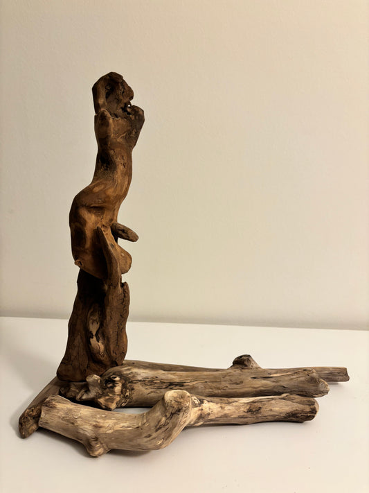 The Lending Hand - Driftwood Sculpture