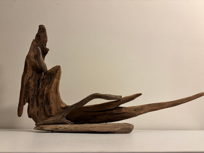 Natural Driftwood Sculpture – Organic Coastal Art on Solid Base