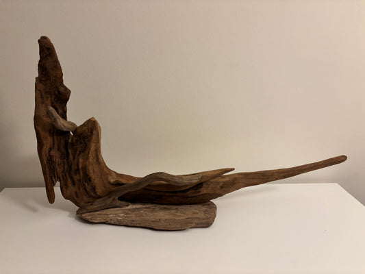 Natural Driftwood Sculpture – Organic Coastal Art on Solid Base