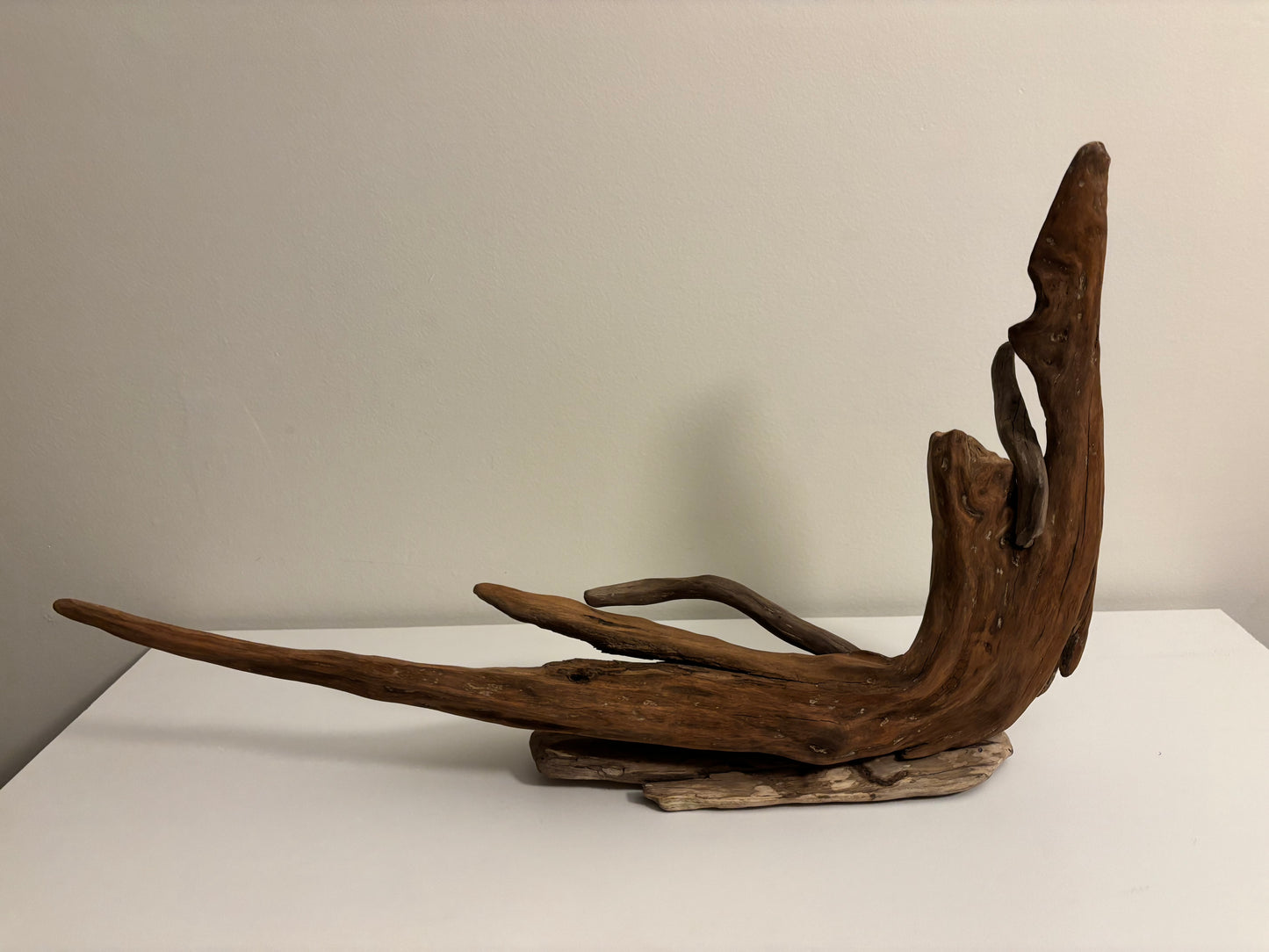 Natural Driftwood Sculpture – Organic Coastal Art on Solid Base