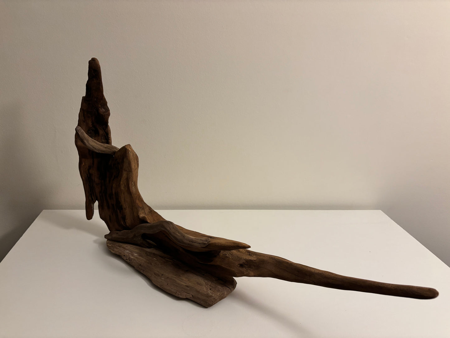 Natural Driftwood Sculpture – Organic Coastal Art on Solid Base